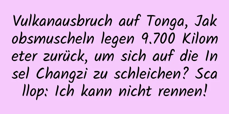 Vulkanausbruch auf Tonga, Jakobsmuscheln legen 9.700 Kilometer zurück, um sich auf die Insel Changzi zu schleichen? Scallop: Ich kann nicht rennen!