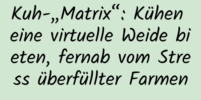 Kuh-„Matrix“: Kühen eine virtuelle Weide bieten, fernab vom Stress überfüllter Farmen