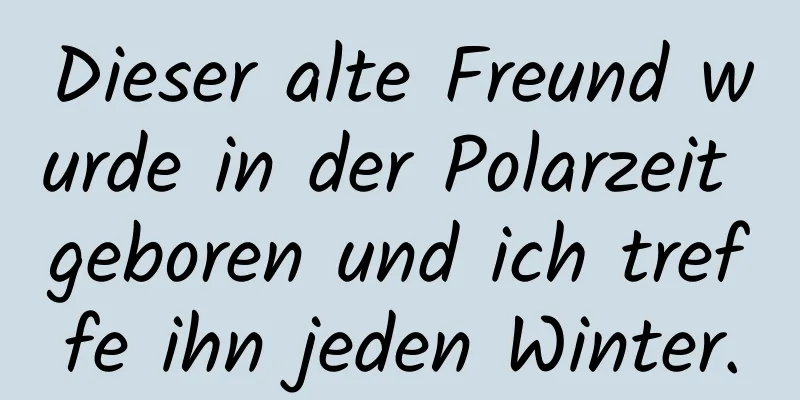 Dieser alte Freund wurde in der Polarzeit geboren und ich treffe ihn jeden Winter.