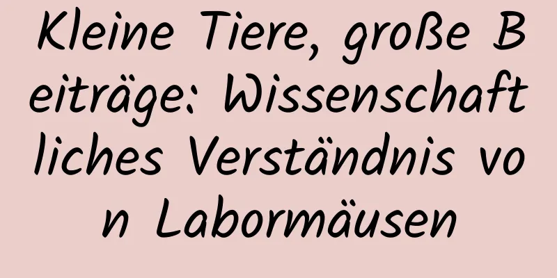 Kleine Tiere, große Beiträge: Wissenschaftliches Verständnis von Labormäusen