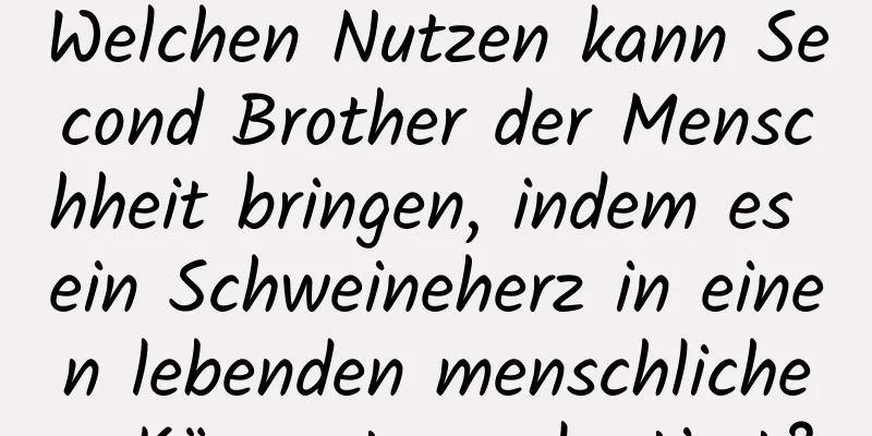 Welchen Nutzen kann Second Brother der Menschheit bringen, indem es ein Schweineherz in einen lebenden menschlichen Körper transplantiert?