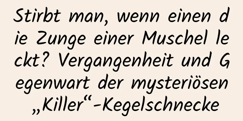 Stirbt man, wenn einen die Zunge einer Muschel leckt? Vergangenheit und Gegenwart der mysteriösen „Killer“-Kegelschnecke