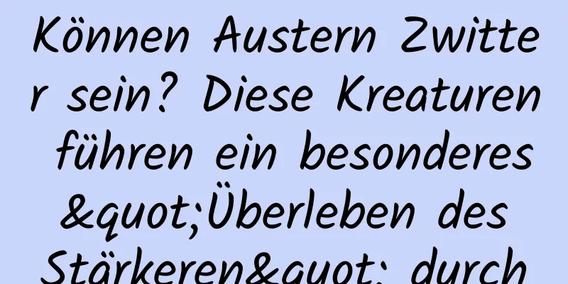 Können Austern Zwitter sein? Diese Kreaturen führen ein besonderes "Überleben des Stärkeren" durch