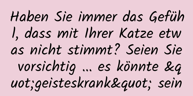 Haben Sie immer das Gefühl, dass mit Ihrer Katze etwas nicht stimmt? Seien Sie vorsichtig ... es könnte "geisteskrank" sein