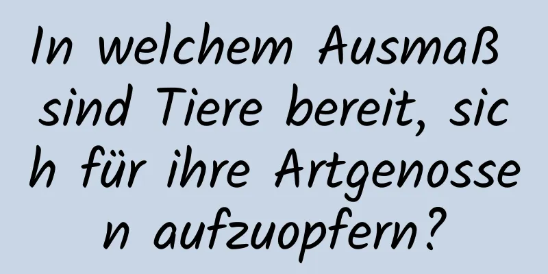 In welchem ​​Ausmaß sind Tiere bereit, sich für ihre Artgenossen aufzuopfern?