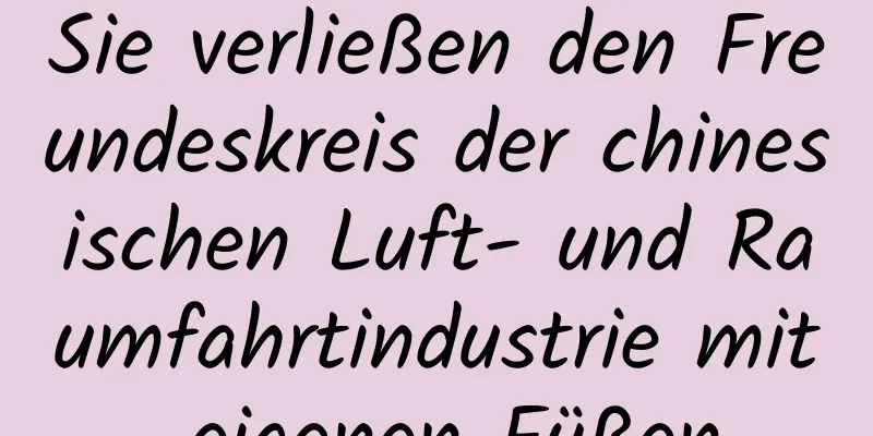 Sie verließen den Freundeskreis der chinesischen Luft- und Raumfahrtindustrie mit eigenen Füßen
