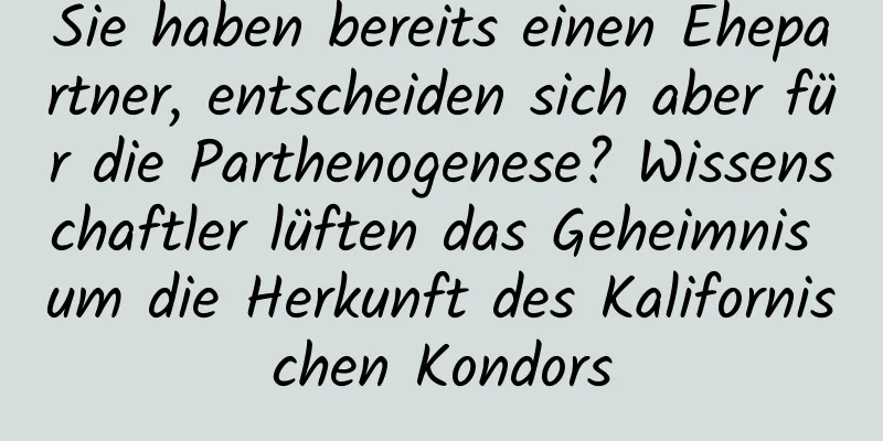 Sie haben bereits einen Ehepartner, entscheiden sich aber für die Parthenogenese? Wissenschaftler lüften das Geheimnis um die Herkunft des Kalifornischen Kondors