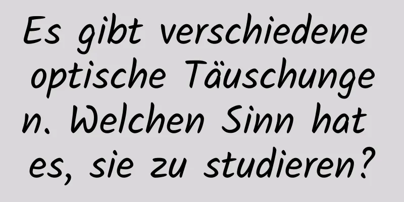 Es gibt verschiedene optische Täuschungen. Welchen Sinn hat es, sie zu studieren?