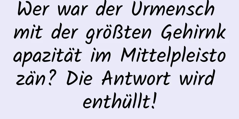 Wer war der Urmensch mit der größten Gehirnkapazität im Mittelpleistozän? Die Antwort wird enthüllt!
