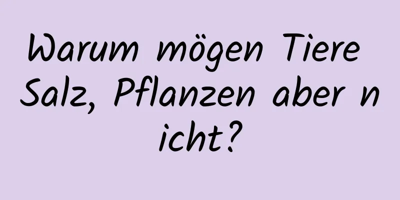 Warum mögen Tiere Salz, Pflanzen aber nicht?