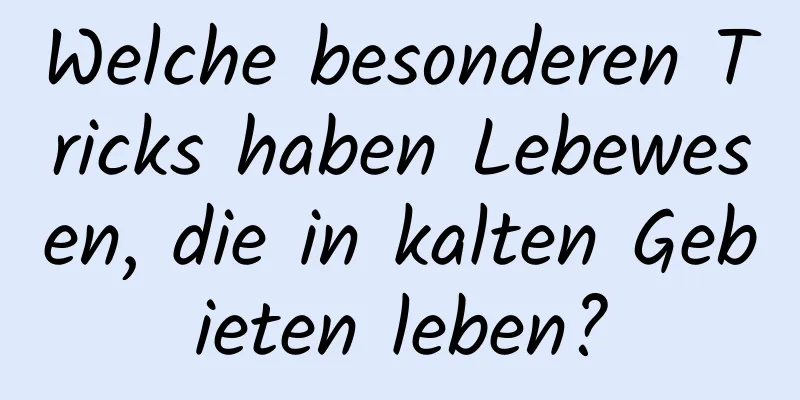 Welche besonderen Tricks haben Lebewesen, die in kalten Gebieten leben?