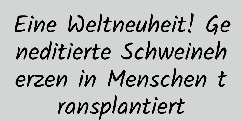 Eine Weltneuheit! Geneditierte Schweineherzen in Menschen transplantiert