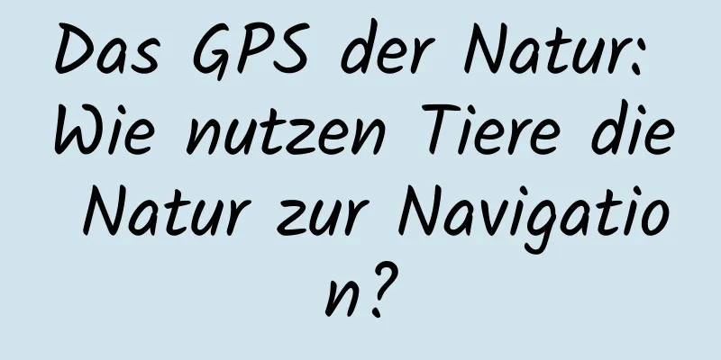 Das GPS der Natur: Wie nutzen Tiere die Natur zur Navigation?