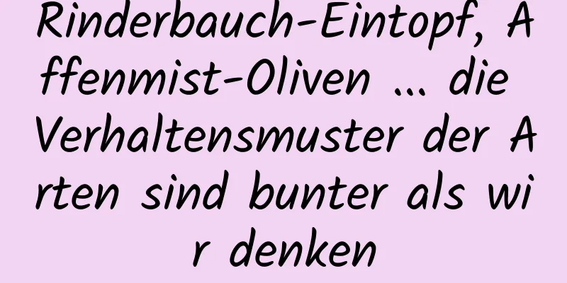 Rinderbauch-Eintopf, Affenmist-Oliven ... die Verhaltensmuster der Arten sind bunter als wir denken