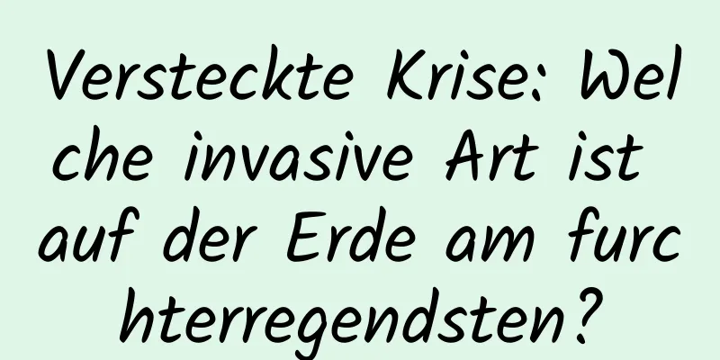 Versteckte Krise: Welche invasive Art ist auf der Erde am furchterregendsten?