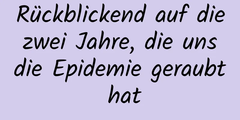 Rückblickend auf die zwei Jahre, die uns die Epidemie geraubt hat