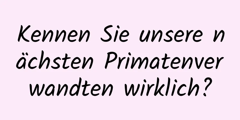 Kennen Sie unsere nächsten Primatenverwandten wirklich?