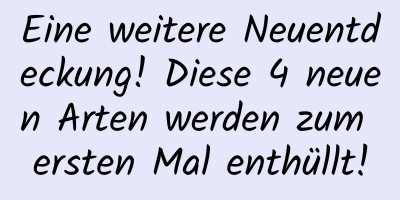 Eine weitere Neuentdeckung! Diese 4 neuen Arten werden zum ersten Mal enthüllt!