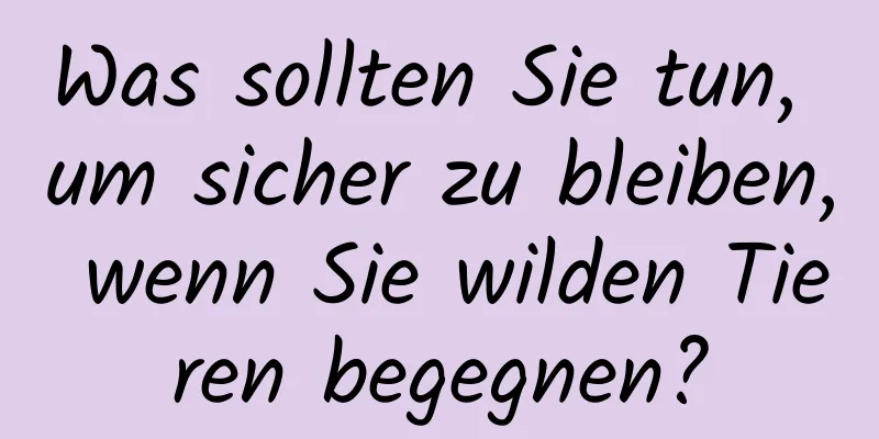 Was sollten Sie tun, um sicher zu bleiben, wenn Sie wilden Tieren begegnen?