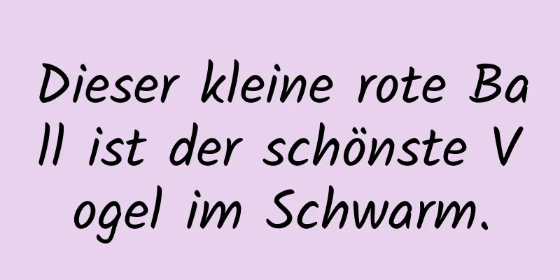 Dieser kleine rote Ball ist der schönste Vogel im Schwarm.