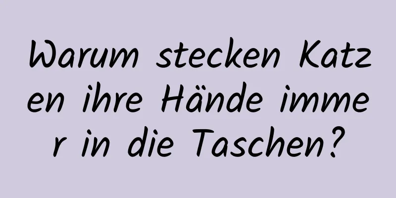 Warum stecken Katzen ihre Hände immer in die Taschen?