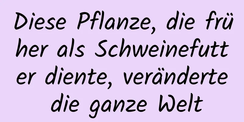 Diese Pflanze, die früher als Schweinefutter diente, veränderte die ganze Welt
