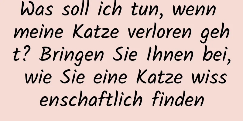 Was soll ich tun, wenn meine Katze verloren geht? Bringen Sie Ihnen bei, wie Sie eine Katze wissenschaftlich finden