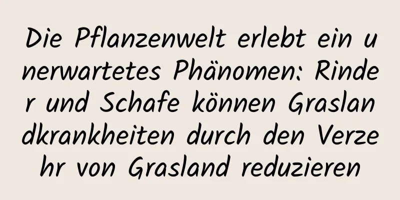 Die Pflanzenwelt erlebt ein unerwartetes Phänomen: Rinder und Schafe können Graslandkrankheiten durch den Verzehr von Grasland reduzieren
