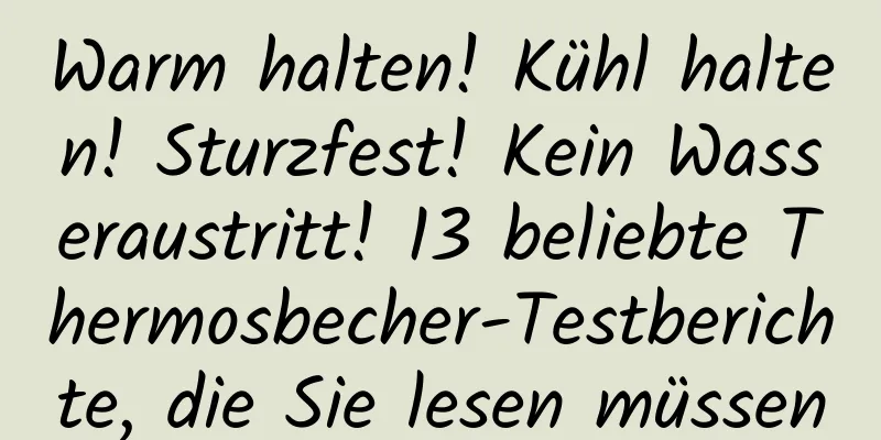 Warm halten! Kühl halten! Sturzfest! Kein Wasseraustritt! 13 beliebte Thermosbecher-Testberichte, die Sie lesen müssen