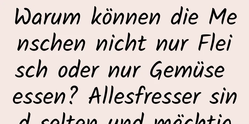 Warum können die Menschen nicht nur Fleisch oder nur Gemüse essen? Allesfresser sind selten und mächtig