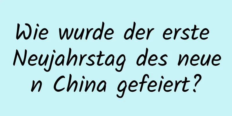 Wie wurde der erste Neujahrstag des neuen China gefeiert?