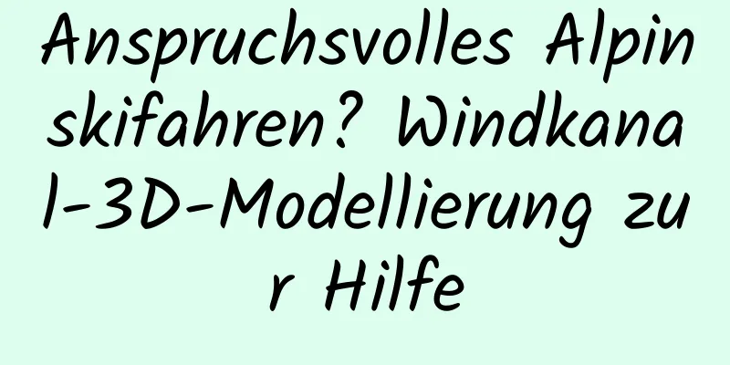 Anspruchsvolles Alpinskifahren? Windkanal-3D-Modellierung zur Hilfe
