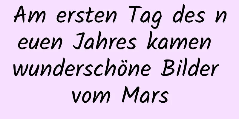 Am ersten Tag des neuen Jahres kamen wunderschöne Bilder vom Mars