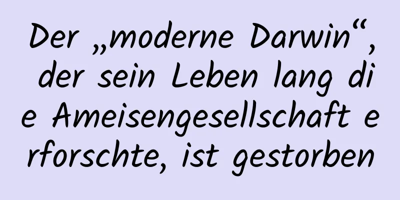 Der „moderne Darwin“, der sein Leben lang die Ameisengesellschaft erforschte, ist gestorben