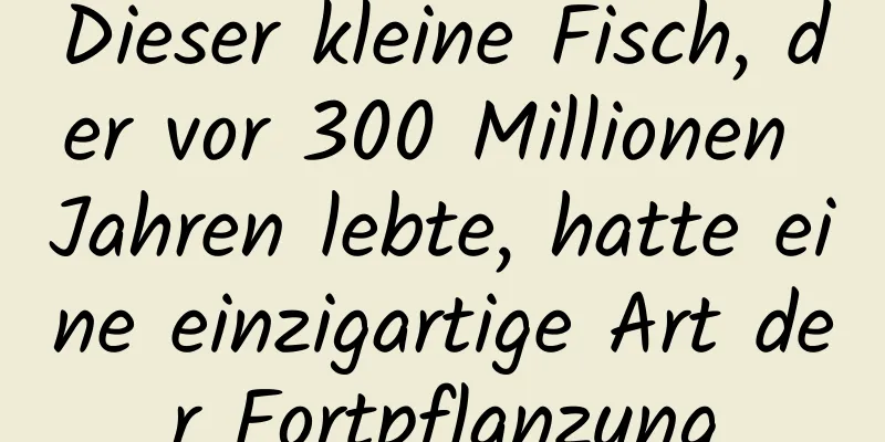 Dieser kleine Fisch, der vor 300 Millionen Jahren lebte, hatte eine einzigartige Art der Fortpflanzung
