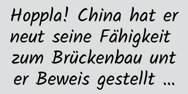 Hoppla! China hat erneut seine Fähigkeit zum Brückenbau unter Beweis gestellt …