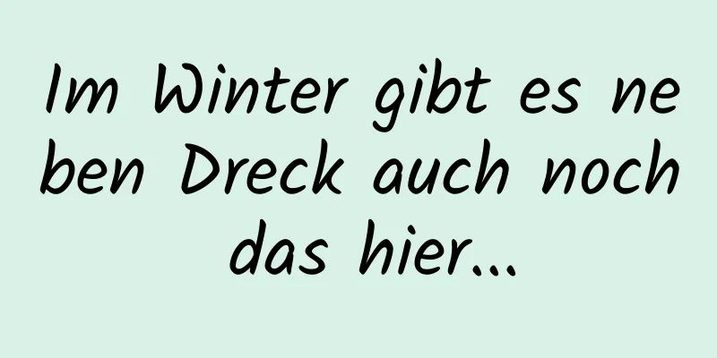 Im Winter gibt es neben Dreck auch noch das hier...