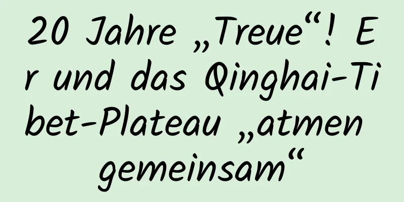 20 Jahre „Treue“! Er und das Qinghai-Tibet-Plateau „atmen gemeinsam“