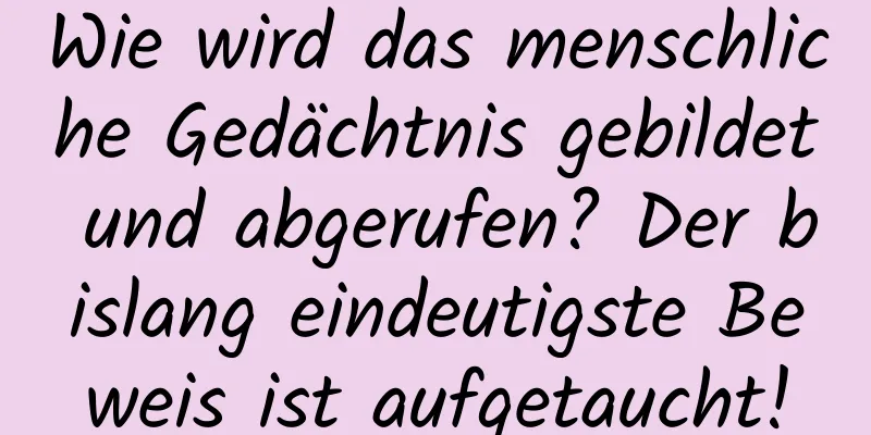 Wie wird das menschliche Gedächtnis gebildet und abgerufen? Der bislang eindeutigste Beweis ist aufgetaucht!