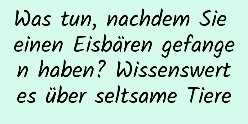 Was tun, nachdem Sie einen Eisbären gefangen haben? Wissenswertes über seltsame Tiere