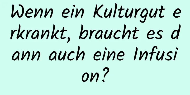 Wenn ein Kulturgut erkrankt, braucht es dann auch eine Infusion?