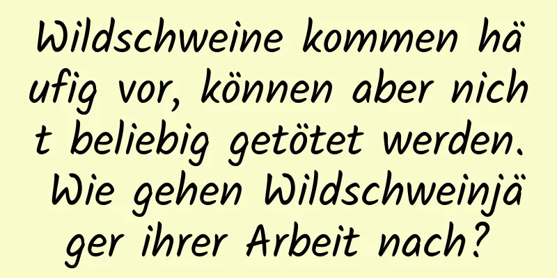 Wildschweine kommen häufig vor, können aber nicht beliebig getötet werden. Wie gehen Wildschweinjäger ihrer Arbeit nach?