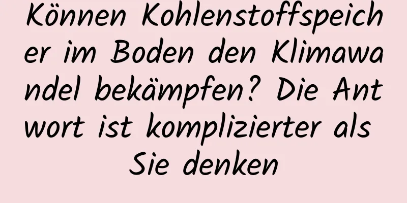 Können Kohlenstoffspeicher im Boden den Klimawandel bekämpfen? Die Antwort ist komplizierter als Sie denken