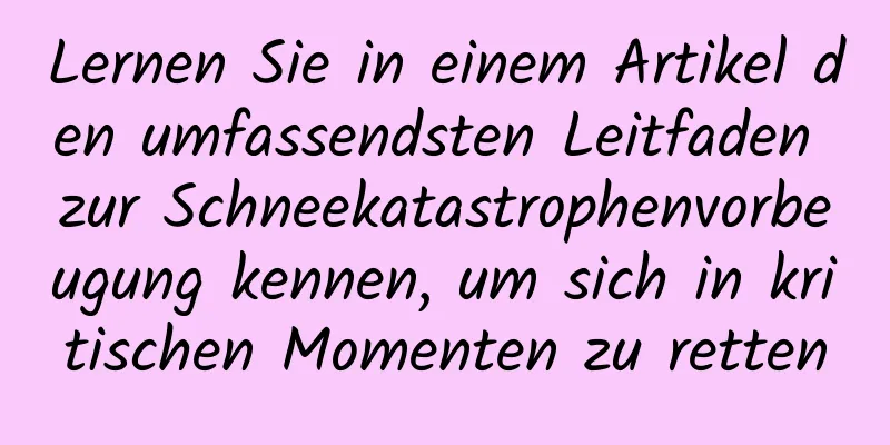 Lernen Sie in einem Artikel den umfassendsten Leitfaden zur Schneekatastrophenvorbeugung kennen, um sich in kritischen Momenten zu retten