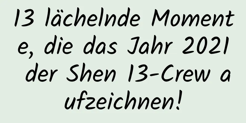 13 lächelnde Momente, die das Jahr 2021 der Shen 13-Crew aufzeichnen!