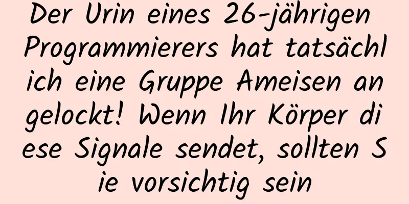 Der Urin eines 26-jährigen Programmierers hat tatsächlich eine Gruppe Ameisen angelockt! Wenn Ihr Körper diese Signale sendet, sollten Sie vorsichtig sein