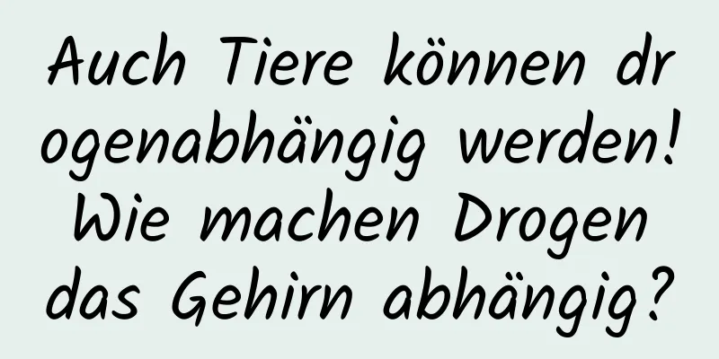 Auch Tiere können drogenabhängig werden! Wie machen Drogen das Gehirn abhängig?