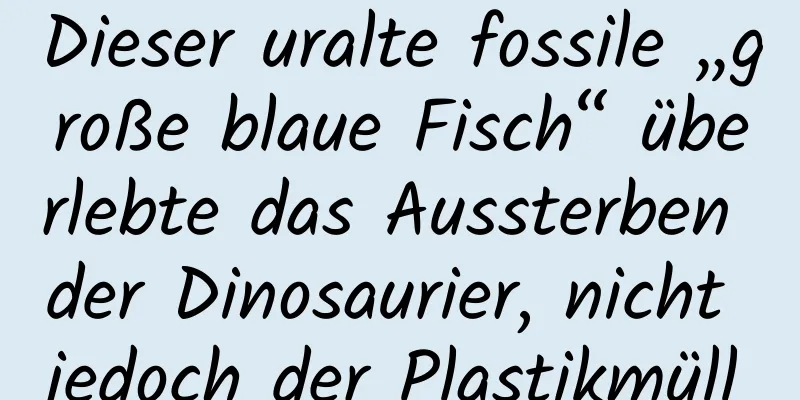 Dieser uralte fossile „große blaue Fisch“ überlebte das Aussterben der Dinosaurier, nicht jedoch der Plastikmüll