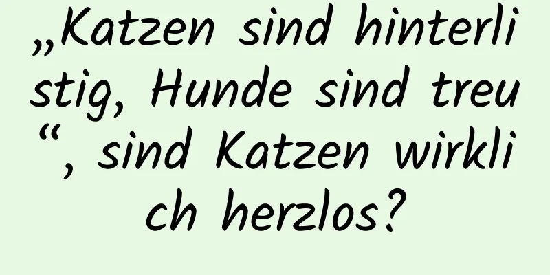 „Katzen sind hinterlistig, Hunde sind treu“, sind Katzen wirklich herzlos?