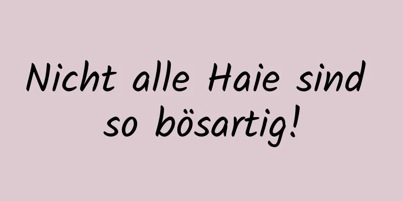 Nicht alle Haie sind so bösartig!